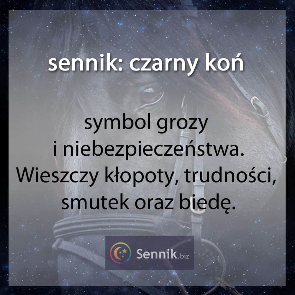 sennik koń - czarny koń