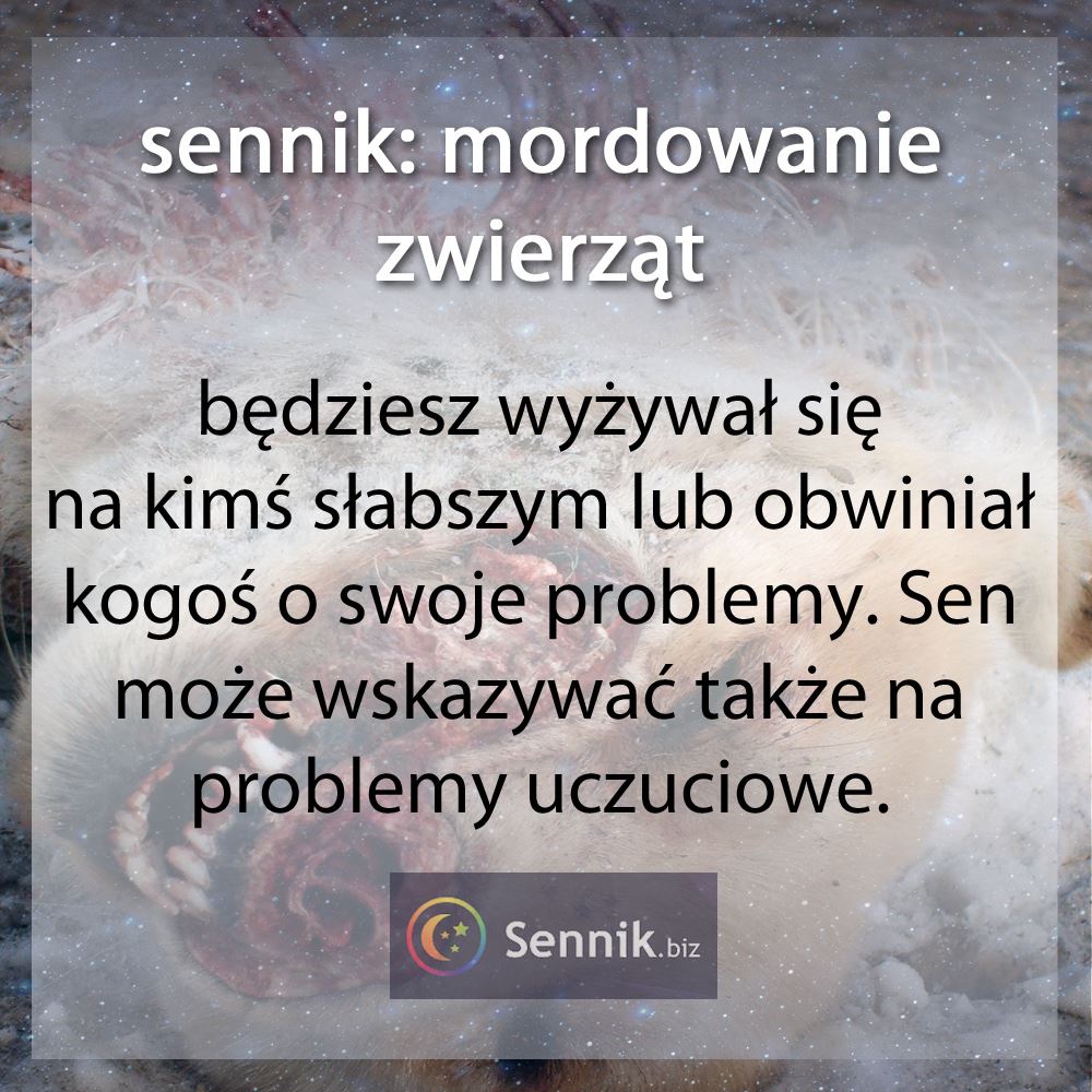 sennik morderstwo, mordować - mordowanie zwierząt 