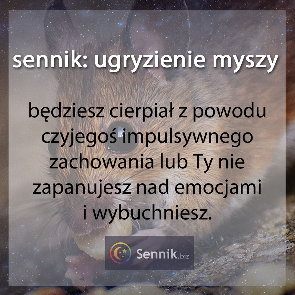 sennik mysz - ugryzienie myszy