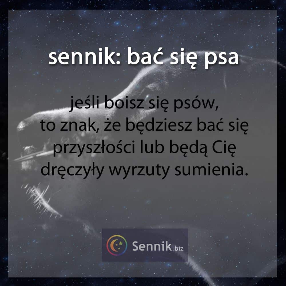 sennik - bać się psa