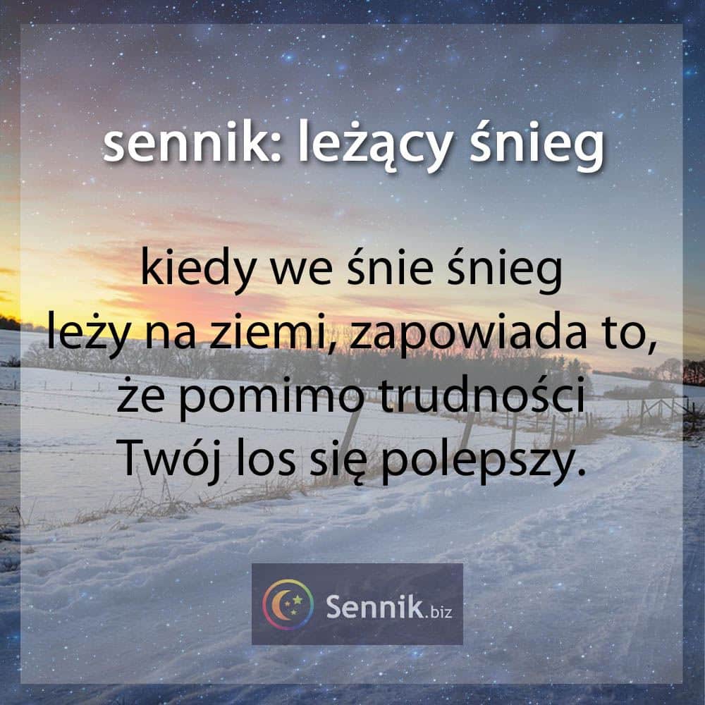 Śnieg 5 sennik - śnieg leżący