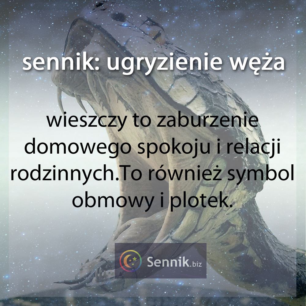 sennik wąż - ugryzienie węża 