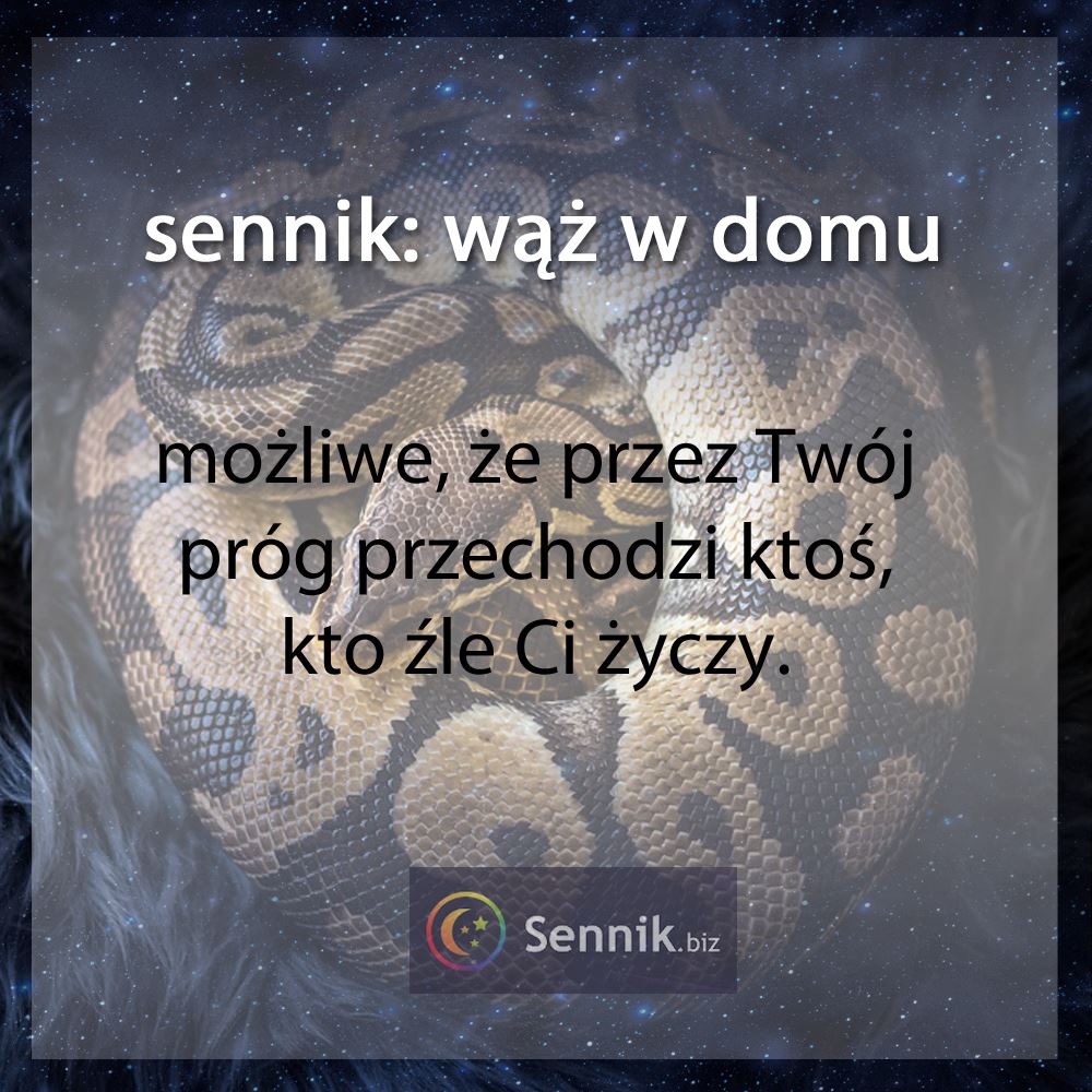 sennik wąż - wąż w domu