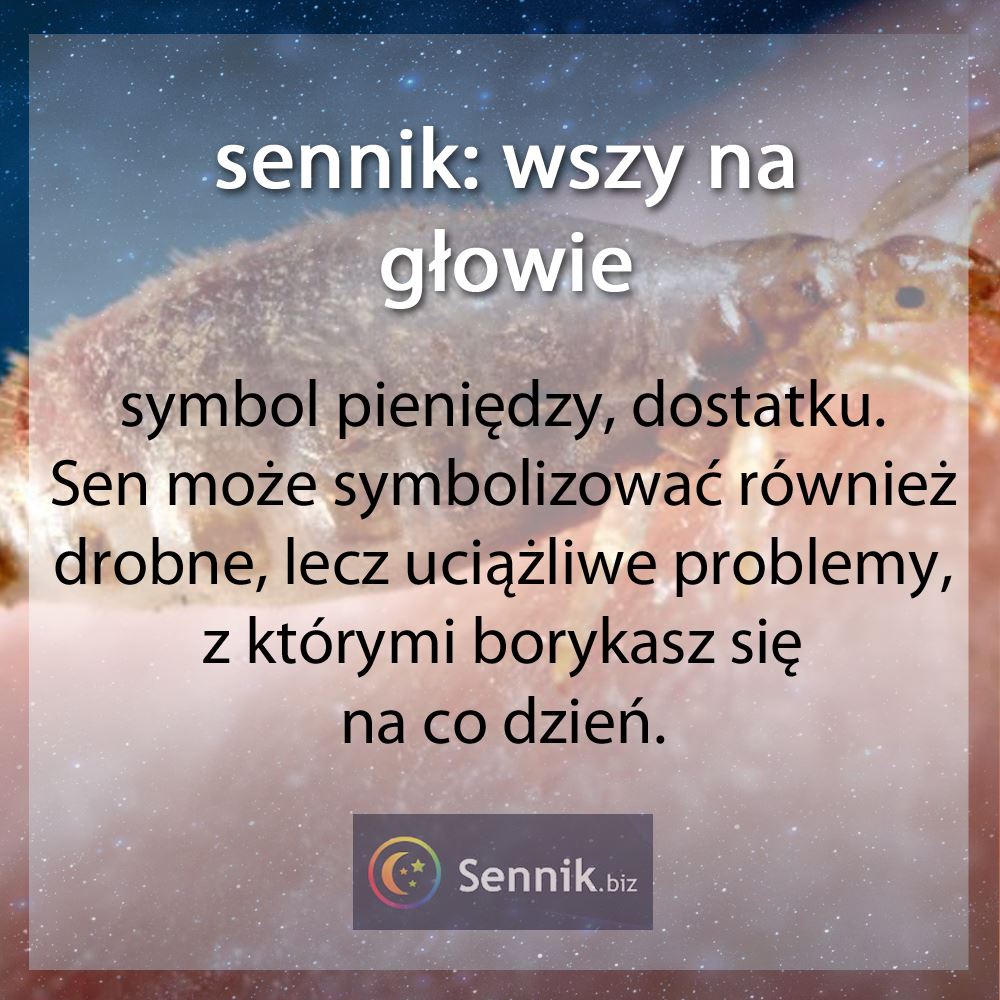 Wszy 4 sennik wszy - wszy na głowie