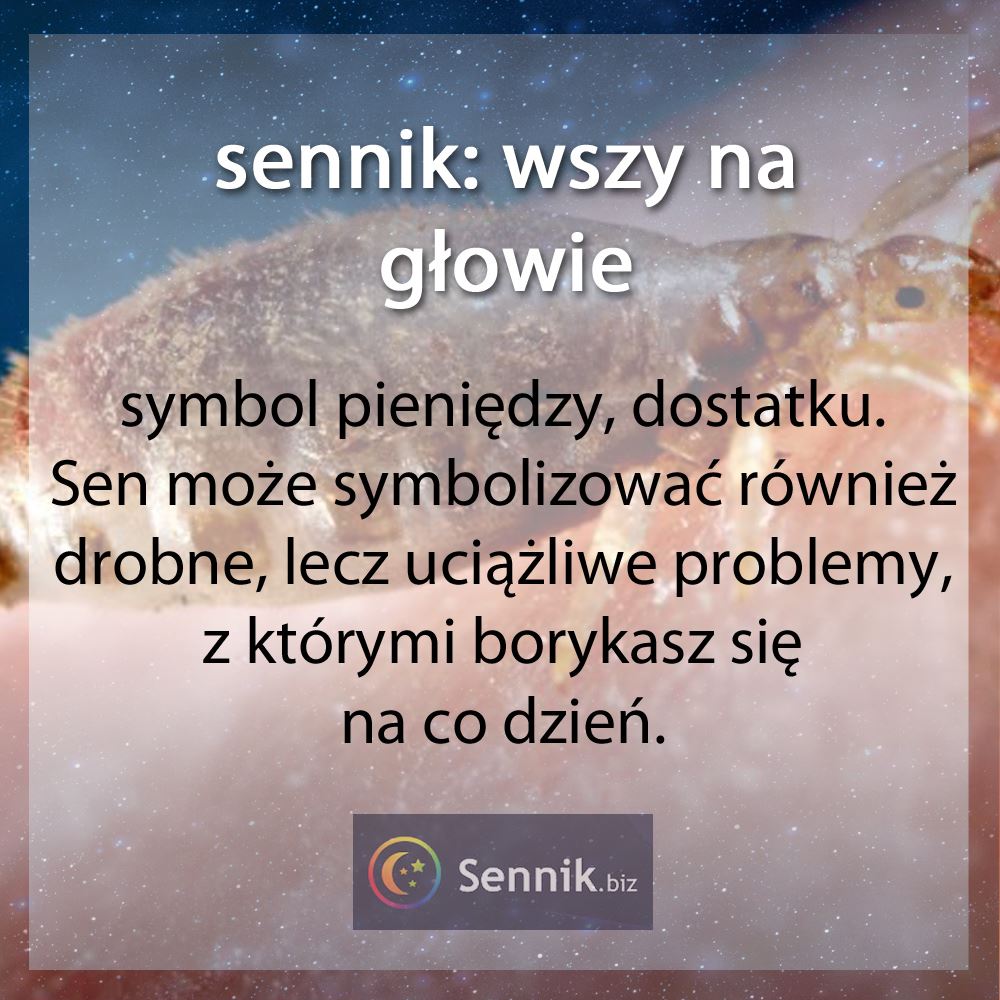 sennik wszy - wszy na głowie 