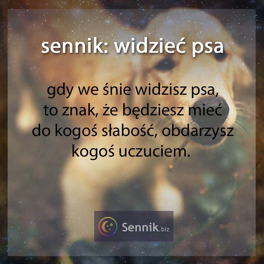 sennik - widzieć psa