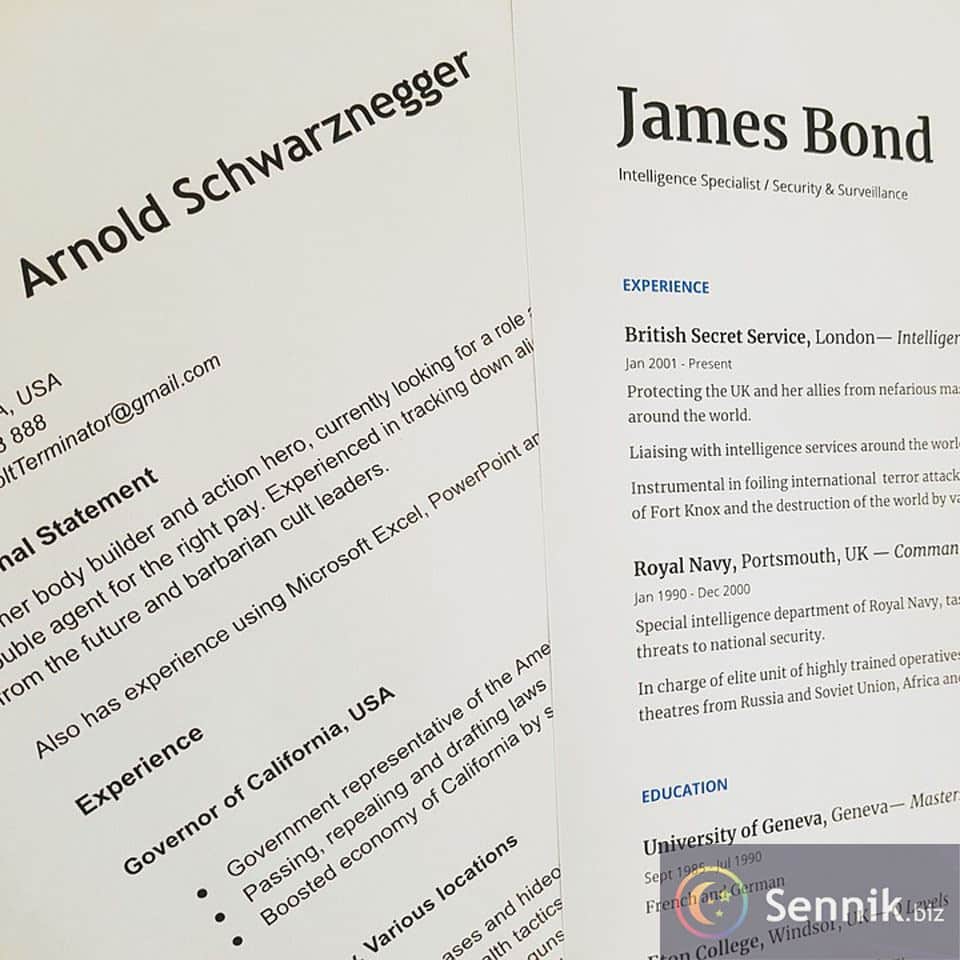 Sennik CV (curriculum vitae)