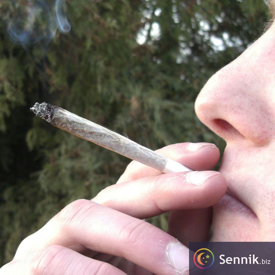 Sennik Joint