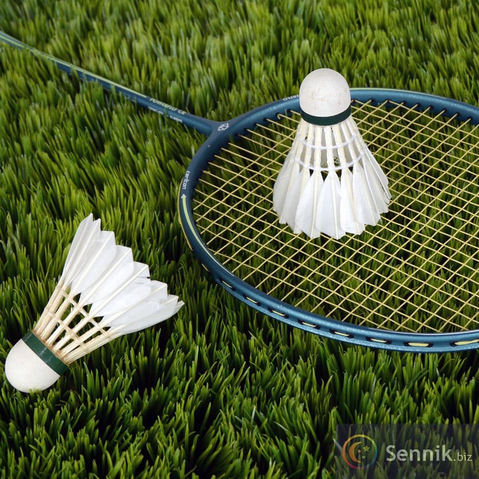 Sennik Badminton