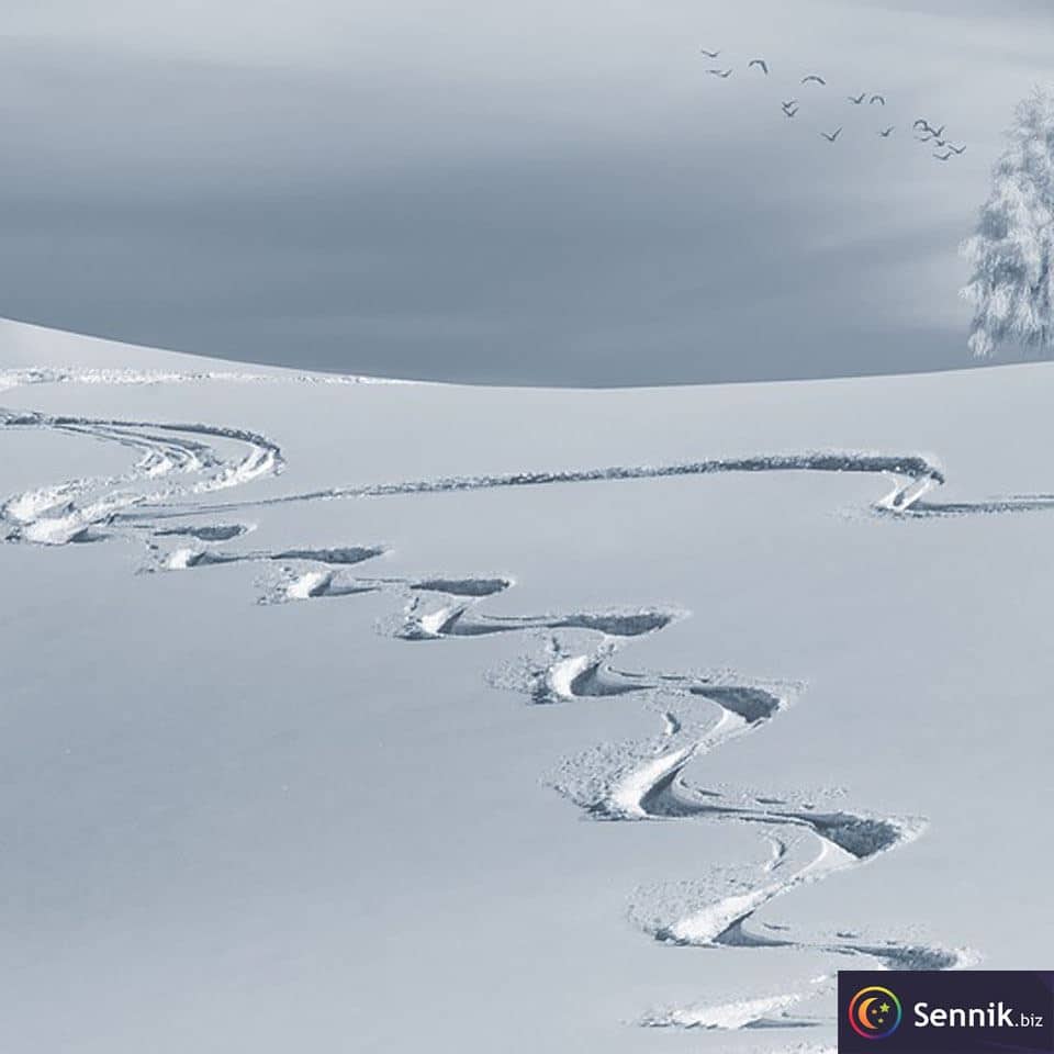 Śnieg 6 sennik śnieg