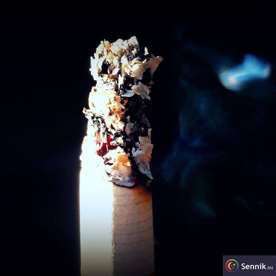 Sennik Palić tytoń